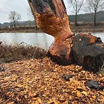 Toohuus 히트잭커